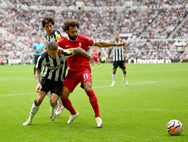 和平共处的 和平共处的